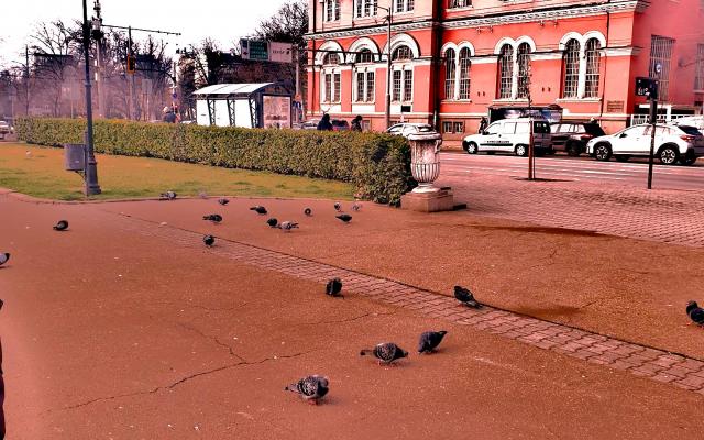 Виктория Добрева