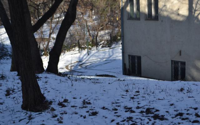 Виктория Добрева